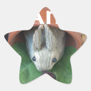 Adesivo Estrela Bunny Home Honey Am Home