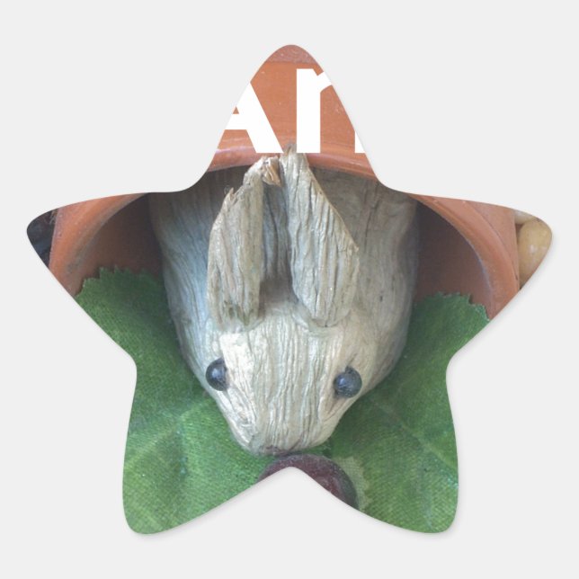 Adesivo Estrela Bunny Home Honey Am Home (Frente)