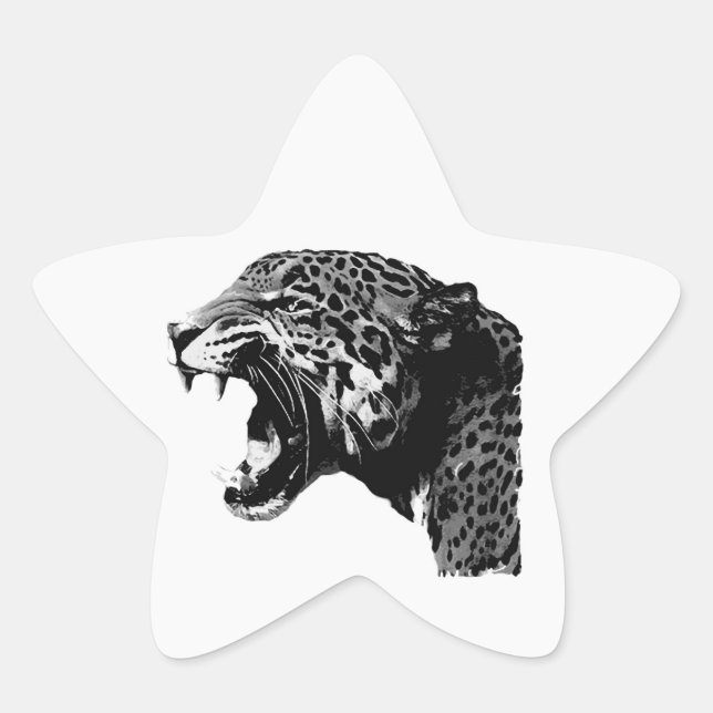 Adesivo Estrela BW Jaguar Star Stickers (Frente)