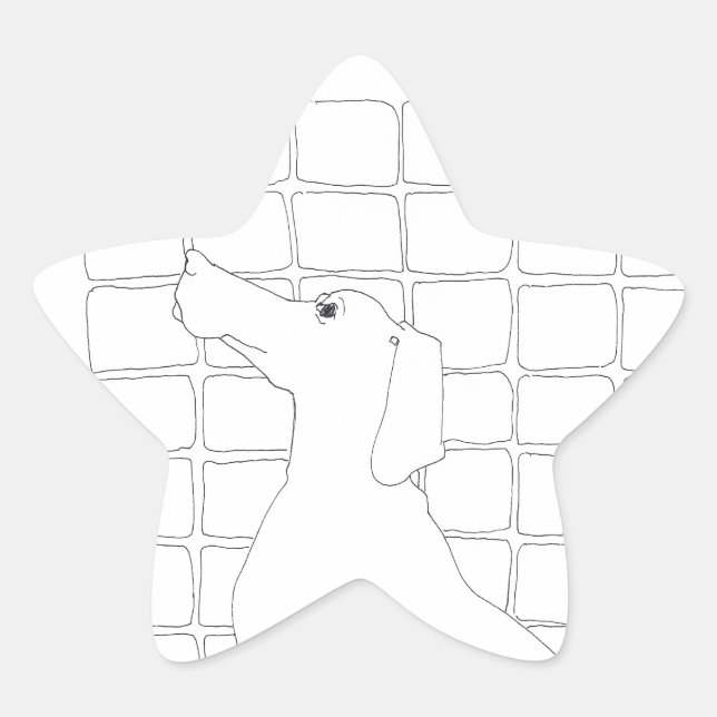 Adesivo Estrela Cachorro Original Desenho Chinês Ano de 2018 Pau 4 (Frente)