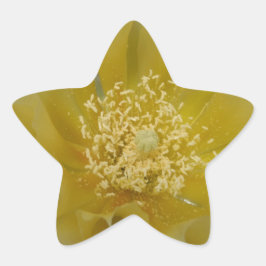 Adesivo Estrela Cacto Amarelo em Flor