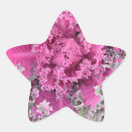 Adesivo Estrela Cactus