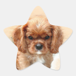 Adesivo Estrela Cavalier King Charles Spaniel