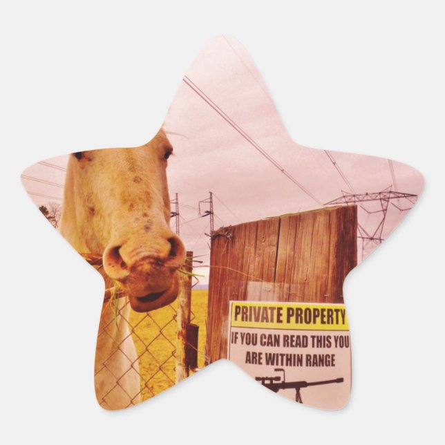 Adesivo Estrela Cavalo de Propriedade Privada Rosa (Frente)