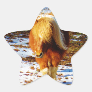 Adesivo Estrela Cavalo miniatura marrom e creme na neve.