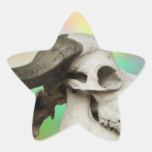 Adesivo Estrela Caveira de Buffalo em Fundo de Aquarela