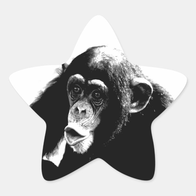 Adesivo Estrela Chimpanzé Branco Preto (Frente)