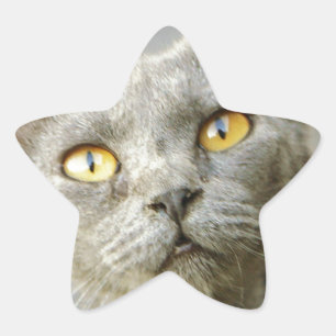 Adesivo Estrela Cinza do Jean da última esperança