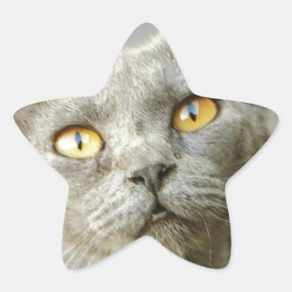 Adesivo Estrela Cinza do Jean da última esperança