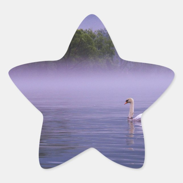 Adesivo Estrela Cisne no lago (Frente)