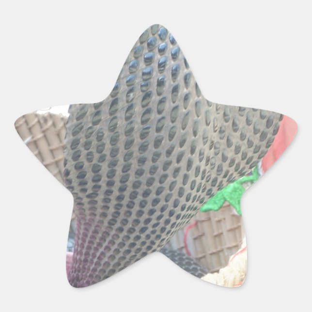 Adesivo Estrela Cobra no Impressão de Arte de Cesto (Frente)