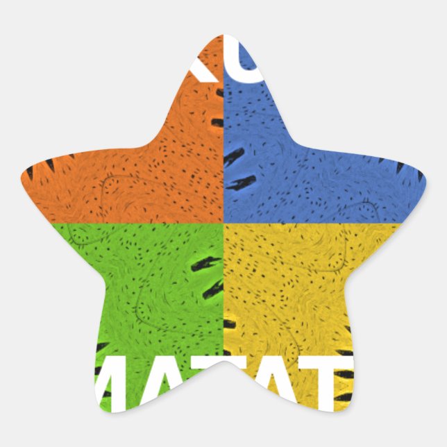 Adesivo Estrela Colagem Coletiva Coletiva de Pop e Mensagem "Hakun (Frente)