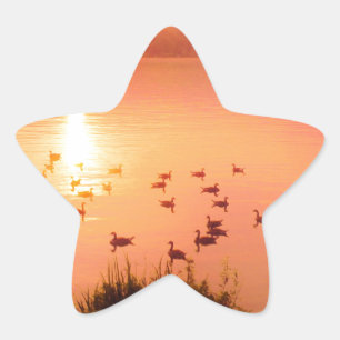 Adesivo Estrela Coletor solar rosa e pêssego