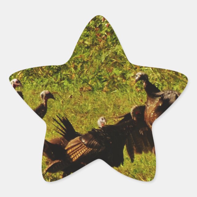 Adesivo Estrela Combater os Perus Selvagens nas Montanhas do Enfum (Frente)