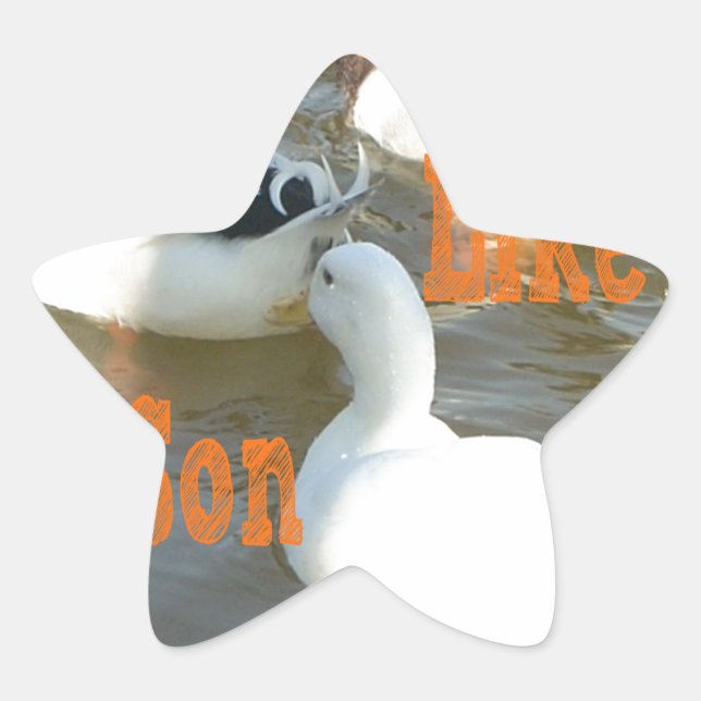 Adesivo Estrela Como Pai Como Filho. (Frente)