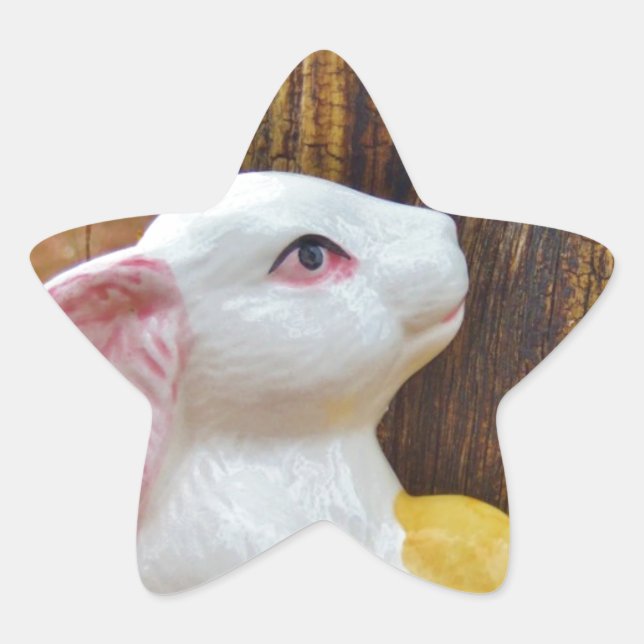 Adesivo Estrela Country Páscoa Bunny (Frente)