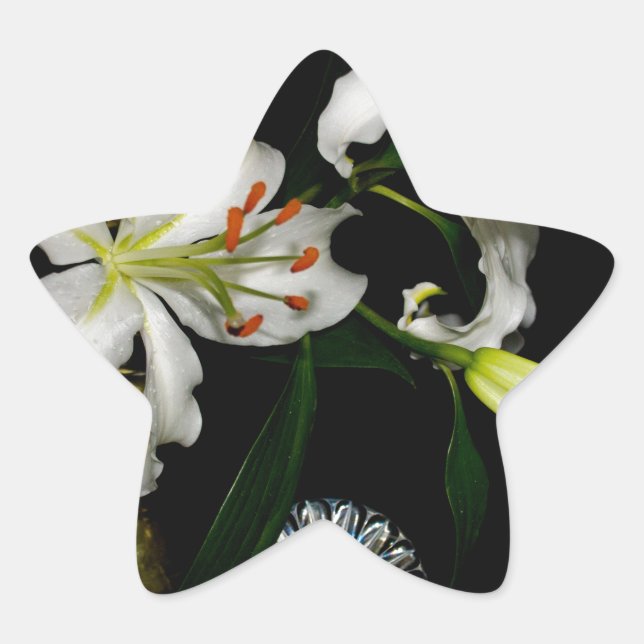 Adesivo Estrela Design irsh - Coleção de latas e flores (Frente)