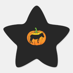Adesivo Estrela Donkey Pumpkin Artigos Engraçados De Donkey Hal