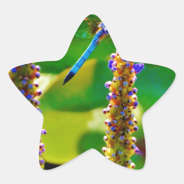 Adesivo Estrela Dragonfly azul e flores (Frente)