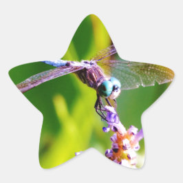 Adesivo Estrela Dragonfly Teal & Purple