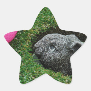 ADESIVO ESTRELA DSCF0652.JPG