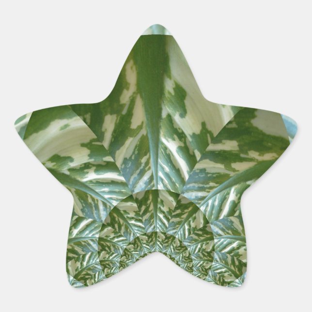 Adesivo Estrela Eco Verde Camo Caleidoscópio Impressão (Frente)
