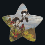 Adesivo Estrela Elegante Holly Christmas,<br><div class="desc">Elegante Holly Christmas,  azul sky Foto de Sandy Closs xmas Christmas holly,  berry,  "holly berry" "elegante natal" "flores de natal" "floral azul verde azul"</div>