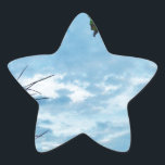 Adesivo Estrela Elegante Holly Christmas, céu azul<br><div class="desc">Elegante Holly Christmas,  azul sky Foto de Sandy Closs xmas Christmas holly,  berry,  "holly berry" "elegante natal" "flores de natal" "floral azul verde azul"</div>