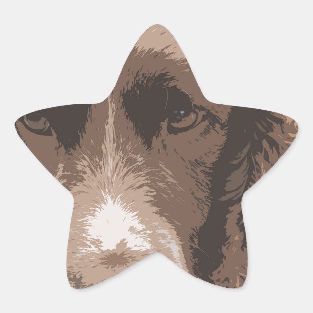 Adesivo Estrela English Springer (Frente)