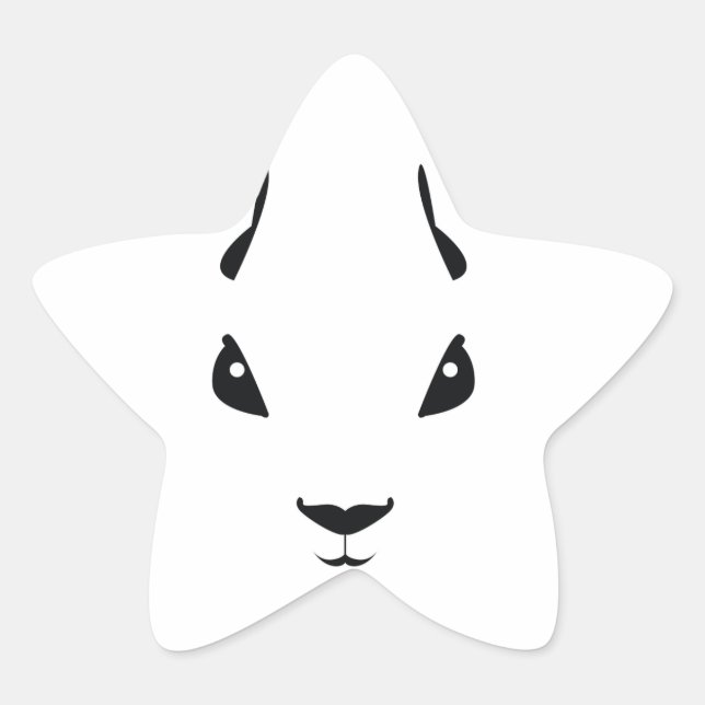 Adesivo Estrela esquilo (Frente)