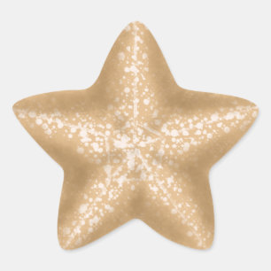 Adesivo Estrela Estrelas de Casamento Tropical de Envelope Selagem