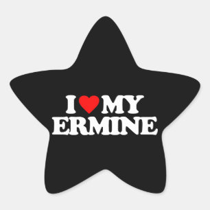ADESIVO ESTRELA EU AMO MEU ARMINHO