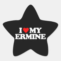 EU AMO MEU ERMINO