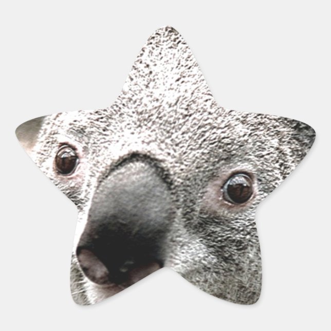 Adesivo Estrela Eu Me Importo. (Frente)