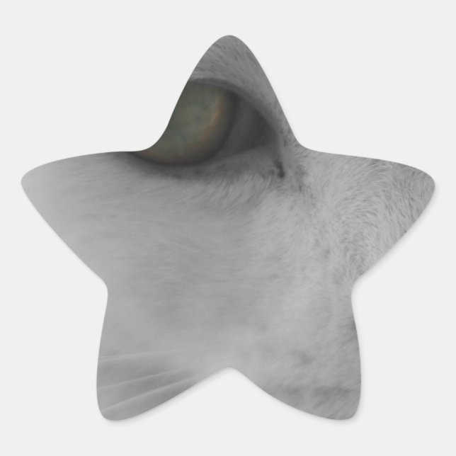 Adesivo Estrela Face de gatos brancos e pretos (Frente)