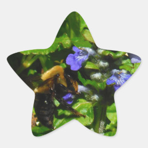 Adesivo Estrela Flor Roxo e Abelhas