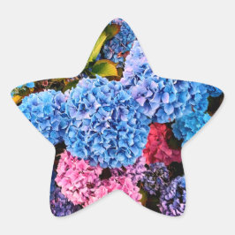 Adesivo Estrela Flores azuis e rosa