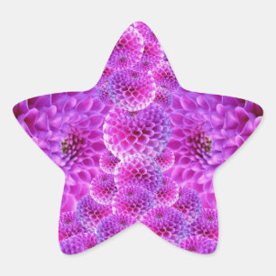 Adesivo Estrela Flores Rosa PomPom Dahlia