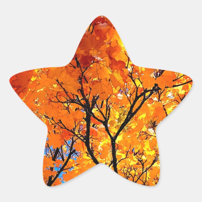 Adesivo Estrela Folhas de laranja (Frente)