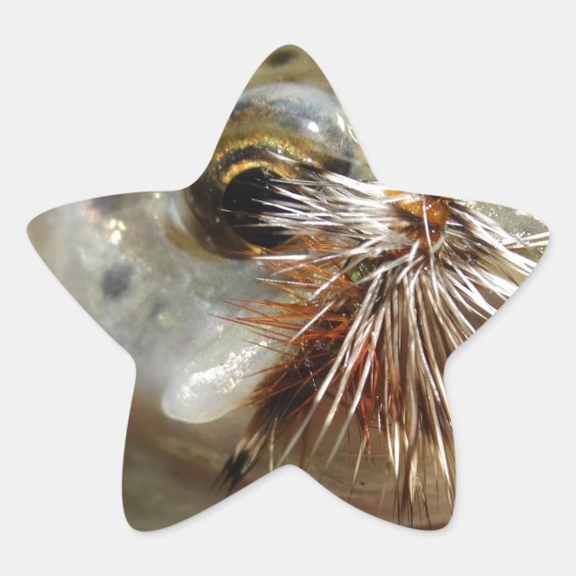 Adesivo Estrela Foto do Rainbow Trout (Frente)