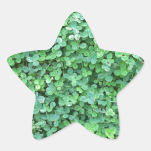 Adesivo Estrela Foto verde da natureza do trevo