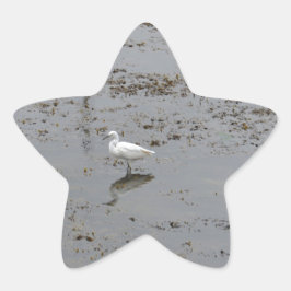 Adesivo Estrela Garça-branca-pequena