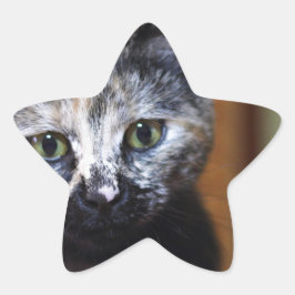 Adesivo Estrela Gatinho branco e preto