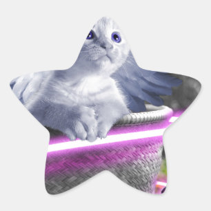 Adesivo Estrela gato-do-anjo