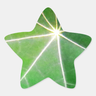 Adesivo Estrela GREEN GREEN LEAF, presente fresco e saudável