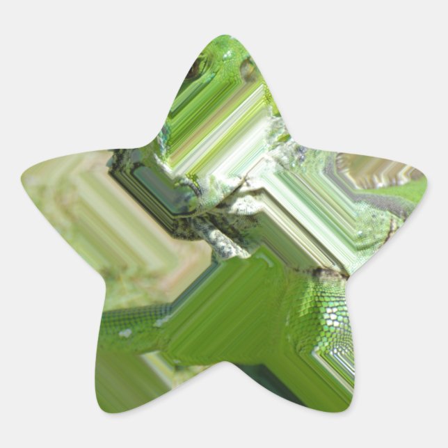 Adesivo Estrela Green Iguana (Frente)