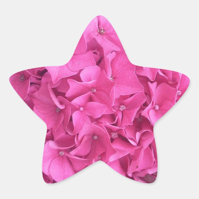Adesivo Estrela Hydrangea Pink Flower Pattern (Frente)