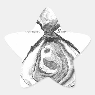 Adesivo Estrela Impressão em animais de ostra de Vintage