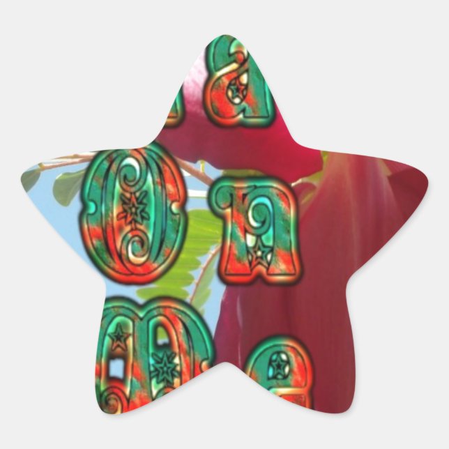 Adesivo Estrela Inspiron Lean On Me Floral Skyward Art Impressão (Frente)