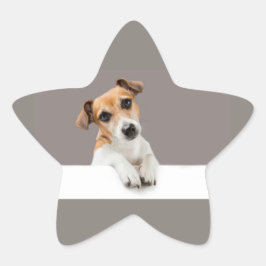Adesivo Estrela Jack Russell Puppy Sweet Adorable Baby